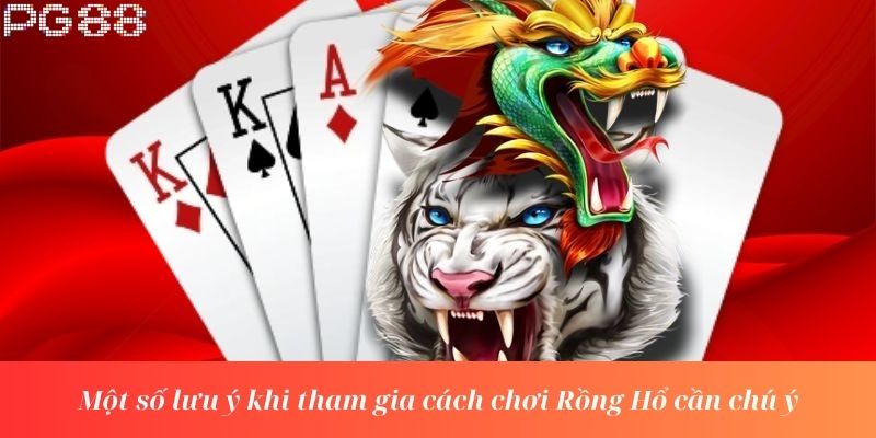 Một số lưu ý khi tham gia cách chơi Rồng Hổ cần chú ý