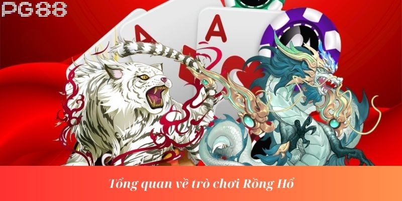 Tổng quan về trò chơi Rồng Hổ