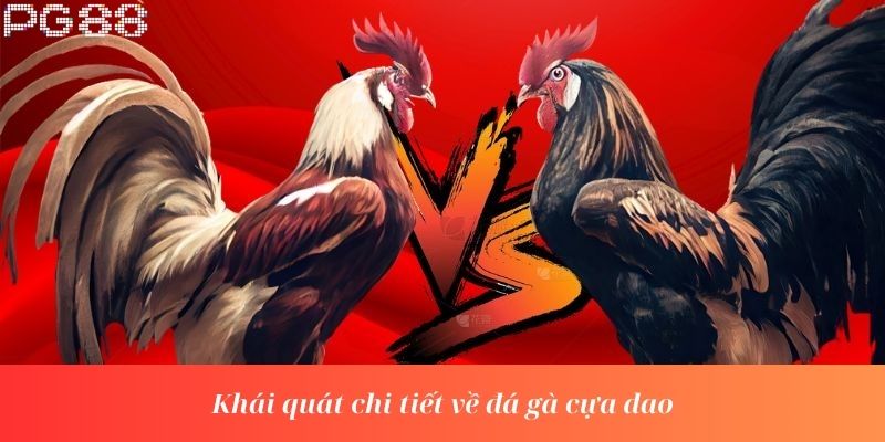 Khái quát chi tiết về đá gà cựa dao